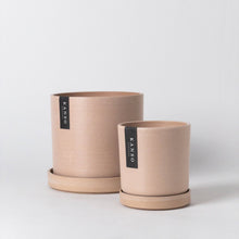 Load image into Gallery viewer, 7" & 4" Signature Planters & Saucer | Earth Tones: White Stone / 7" Only