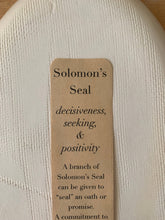 Load image into Gallery viewer, Oval Platter: Solomons Seal