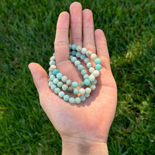 Load image into Gallery viewer, Earths Elements Wholesale - Crystal Bracelet - 8mm Amazonite, pack of 5
