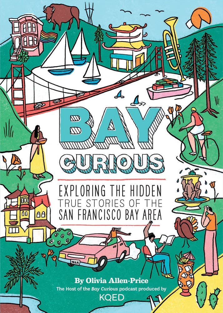 Bay Curious