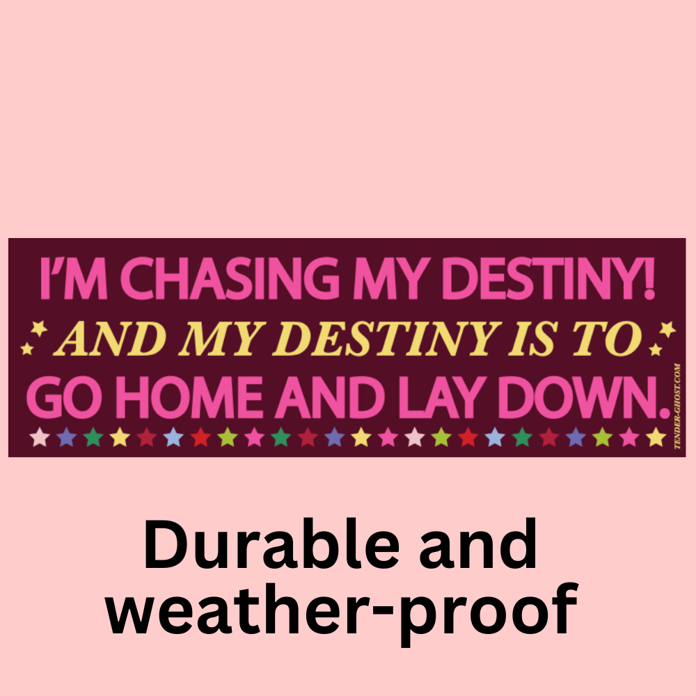 Chasing My Destiny Bumper Sticker