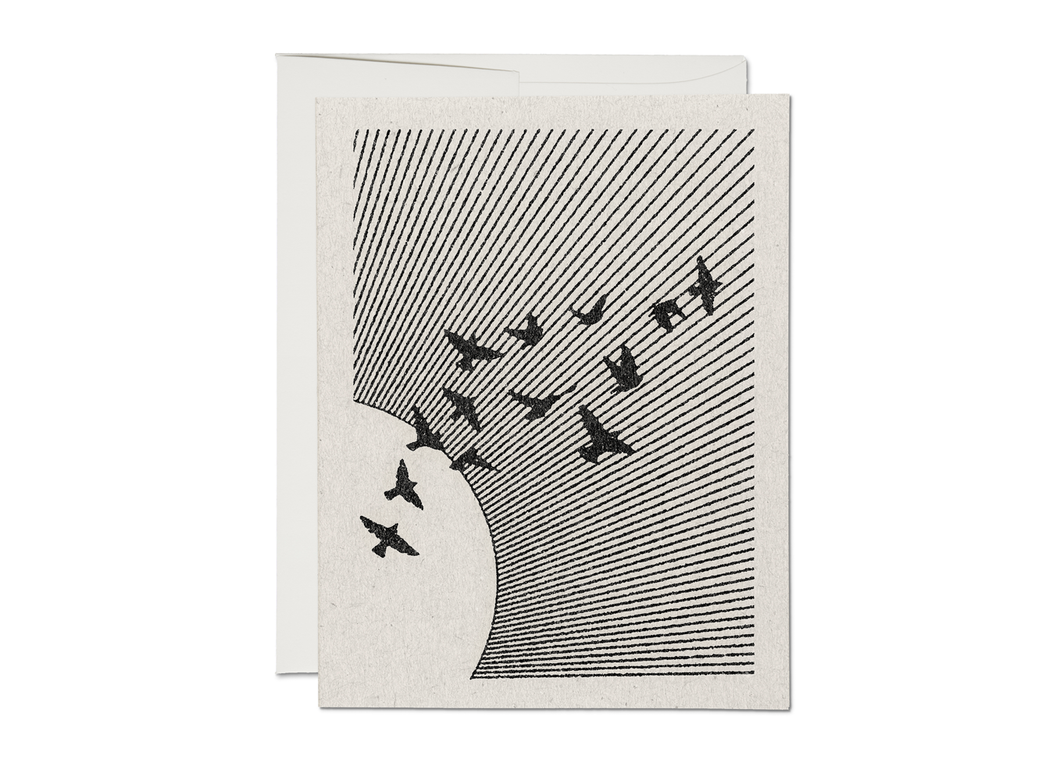 Flock everyday greeting card