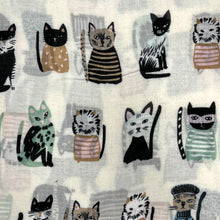 Load image into Gallery viewer, Cats wearing hats print scarf

