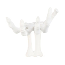Load image into Gallery viewer, Gothic Halloween Skeleton Hand Wall Hook
