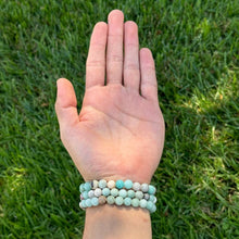Load image into Gallery viewer, Earths Elements Wholesale - Crystal Bracelet - 8mm Amazonite, pack of 5
