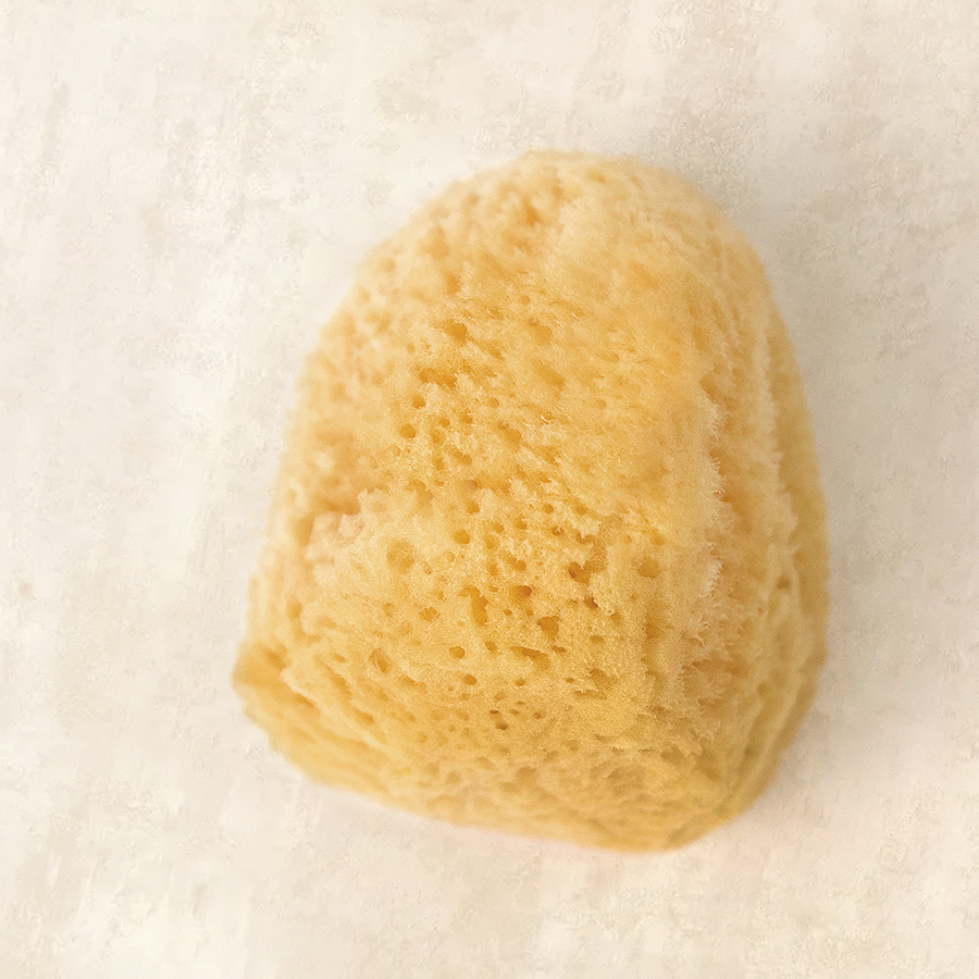 Bath Accessories Company - Cosmetic Silk Sea Sponge