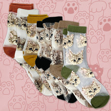 Load image into Gallery viewer, Cat Mesh Socks
