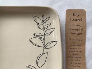 Tray (Rounded): Bay Laurel