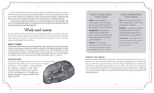 Load image into Gallery viewer, Texas Bookman - Book Of Astrology (The Mystic Arts Handbooks)
