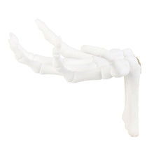 Load image into Gallery viewer, Gothic Halloween Skeleton Hand Wall Hook
