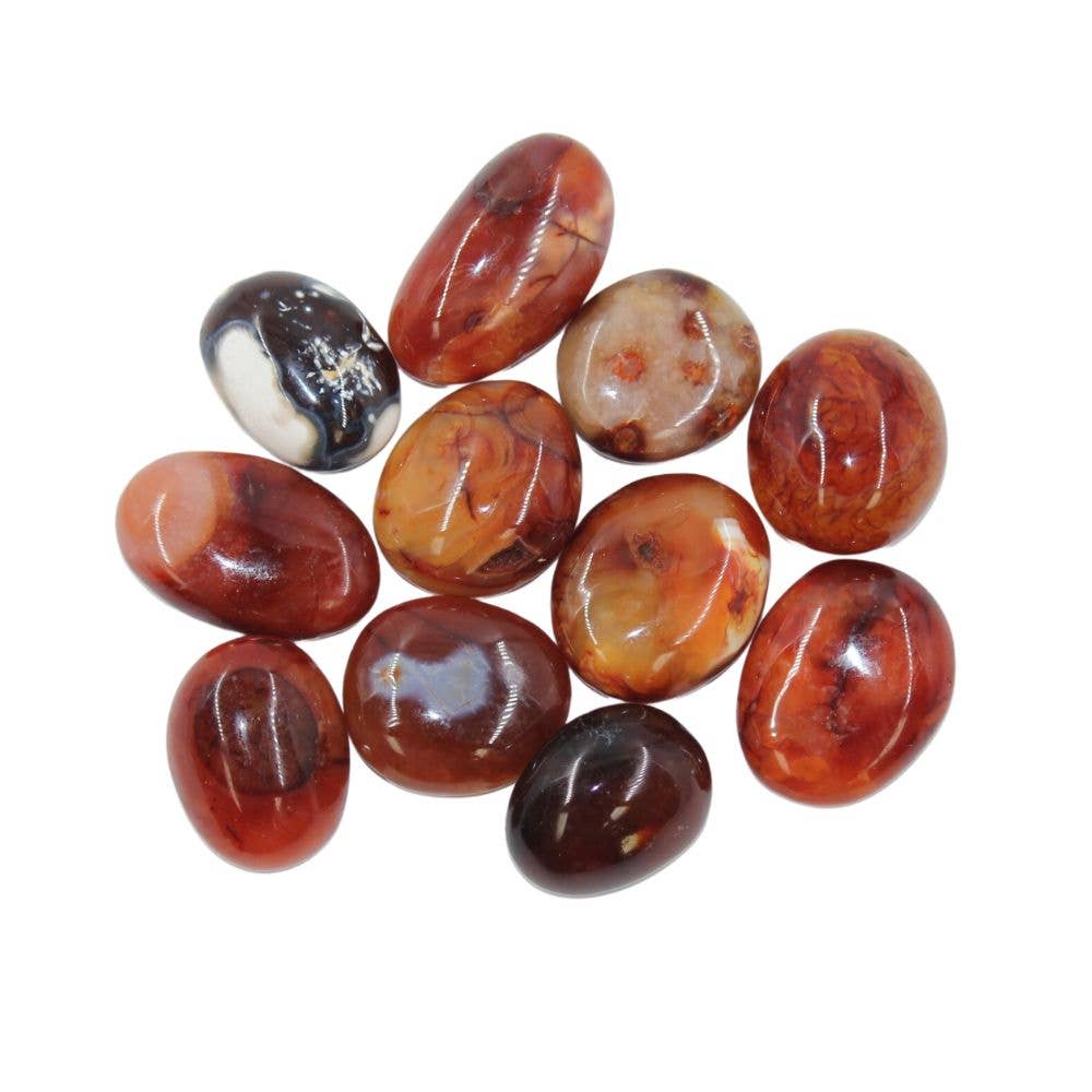 Earths Elements Wholesale - Palm Stones - Carnelian, 2lb