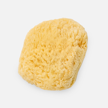 Load image into Gallery viewer, Bath Accessories Company - Cosmetic Silk Sea Sponge
