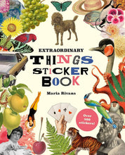 Load image into Gallery viewer, Chronicle Books - Extraordinary Things Sticker Book
