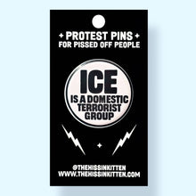Load image into Gallery viewer, ICE Is a Domestic Terrorist Group - Button 1.25"
