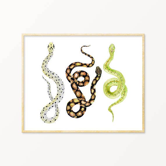 Snakes #3 ~ Art Print