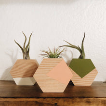 Load image into Gallery viewer, Hexagon Air Plant Holder (PLANT INCLUDED)
