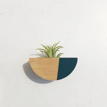 Load image into Gallery viewer, Half Circle Air Plant MAGNET (PLANT INCLUDED)
