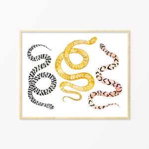 Snakes #8 ~ Art Print