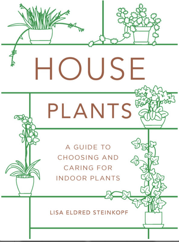 Houseplants (mini): Choosing & Caring for Indoor Plants