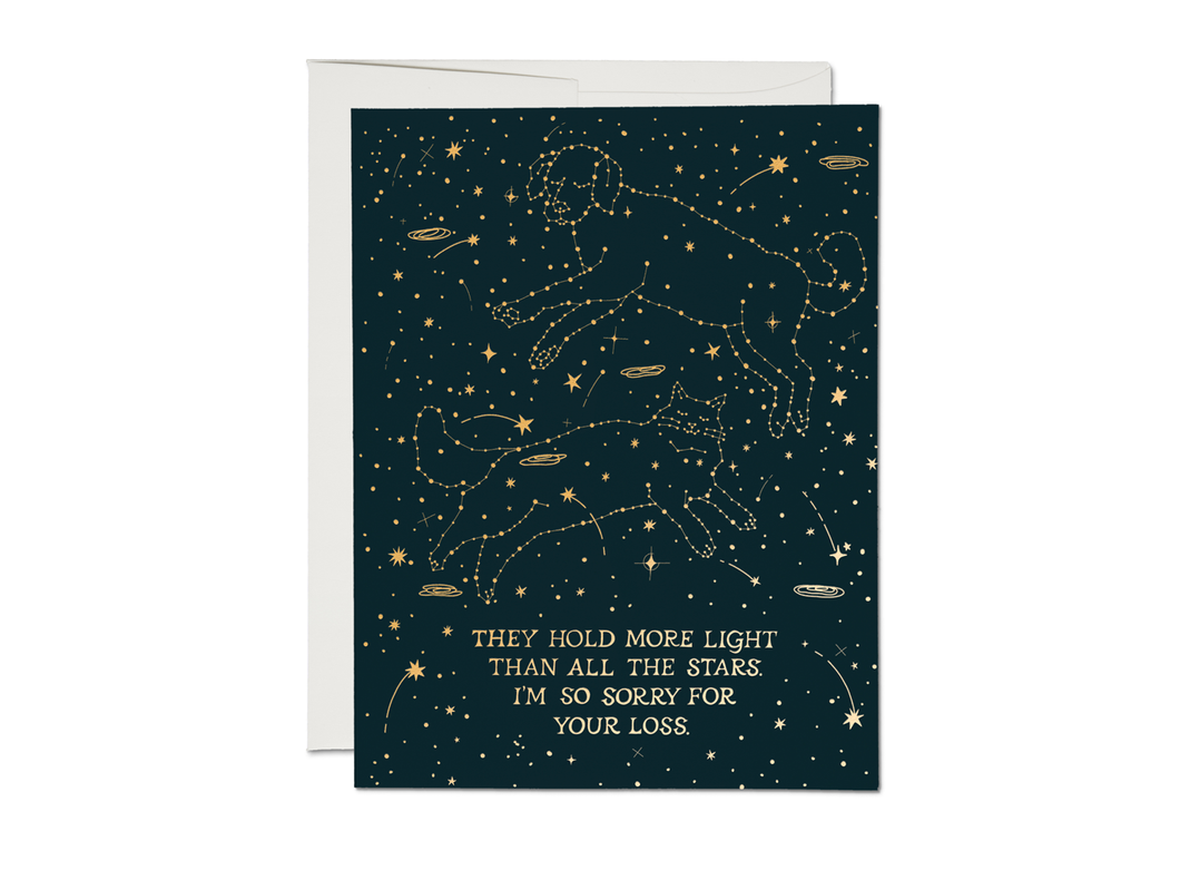 They Hold More Light Than All The stars Pet Constellation sympathy greeting card