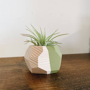 Small Geo Air Plant Holder (PLANT INCLUDED)
